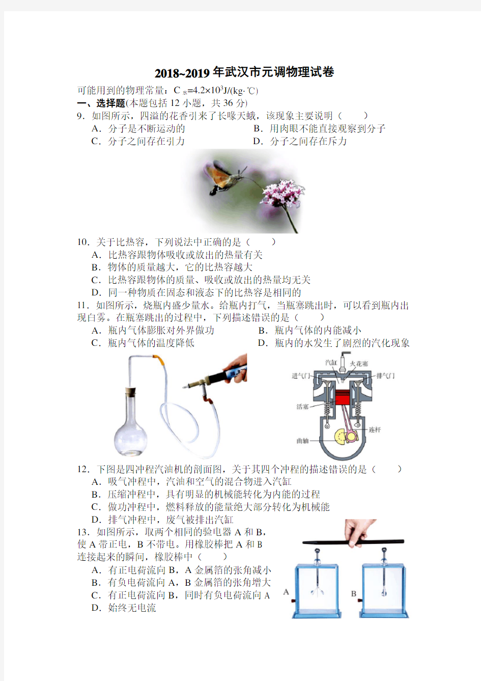 2019年元调物理试题(含答案word)