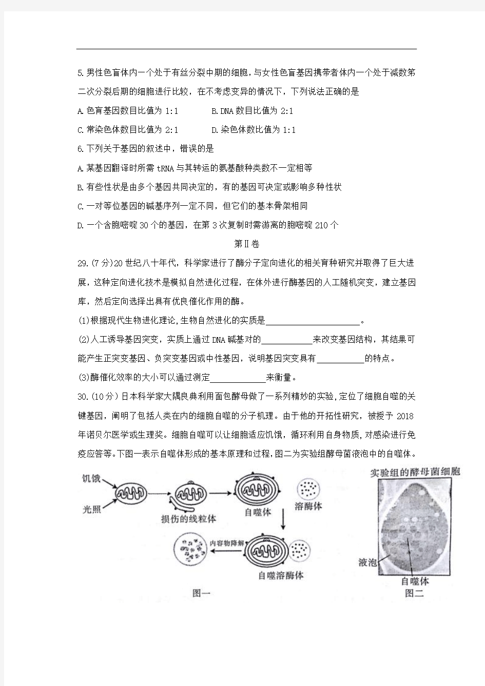 市2018届高三一诊理综生物试题 含答案