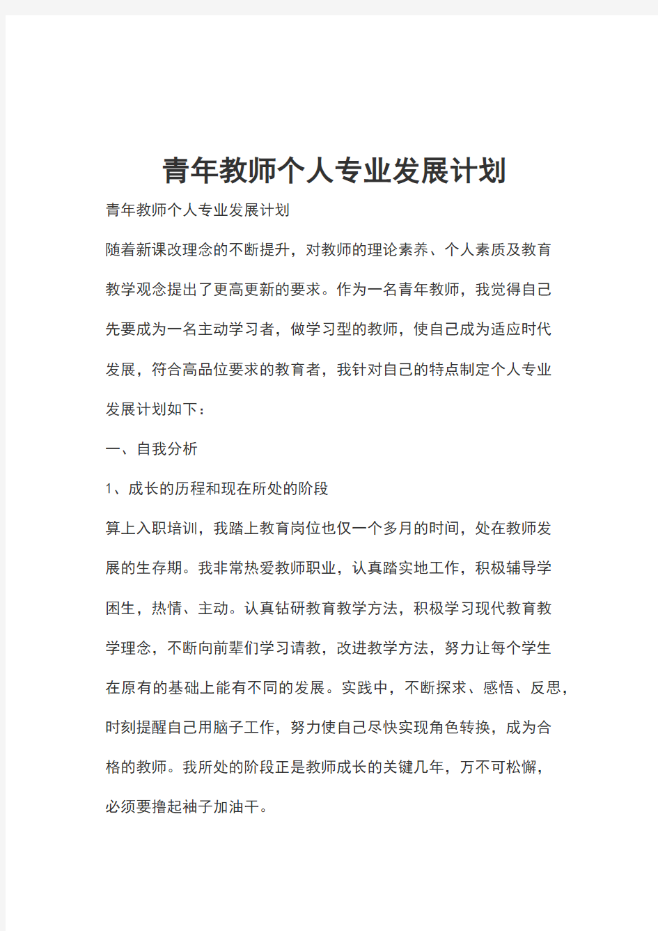 青年教师个人专业发展计划