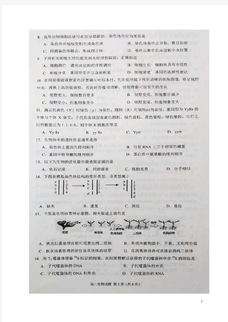 江苏省连云港市2019_2020学年高一生物下学期期末调研考试试题