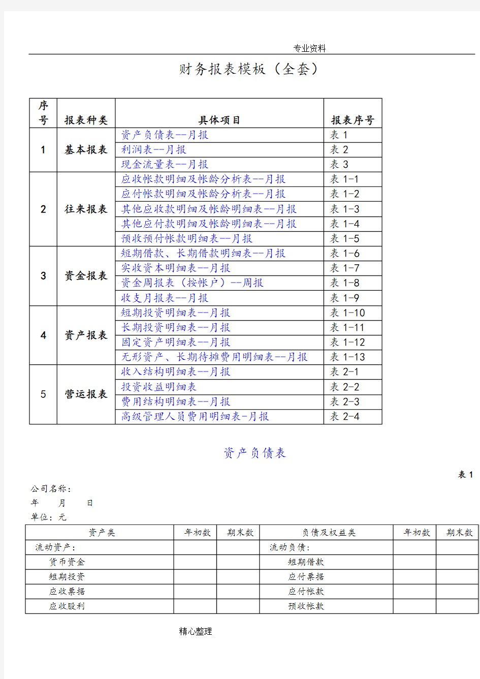 财务报表模板[全套]