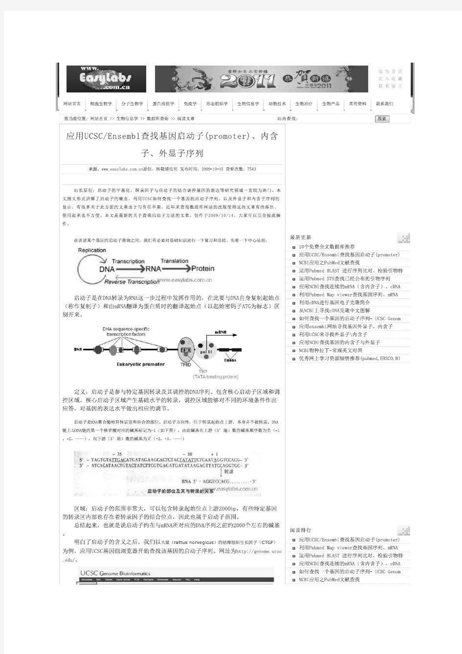 Ensembl查找基因启动子(promoter)、内含子、外显子序列