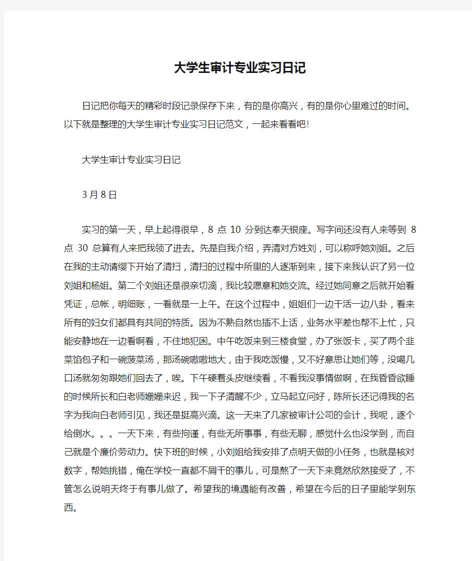 大学生审计专业实习日记