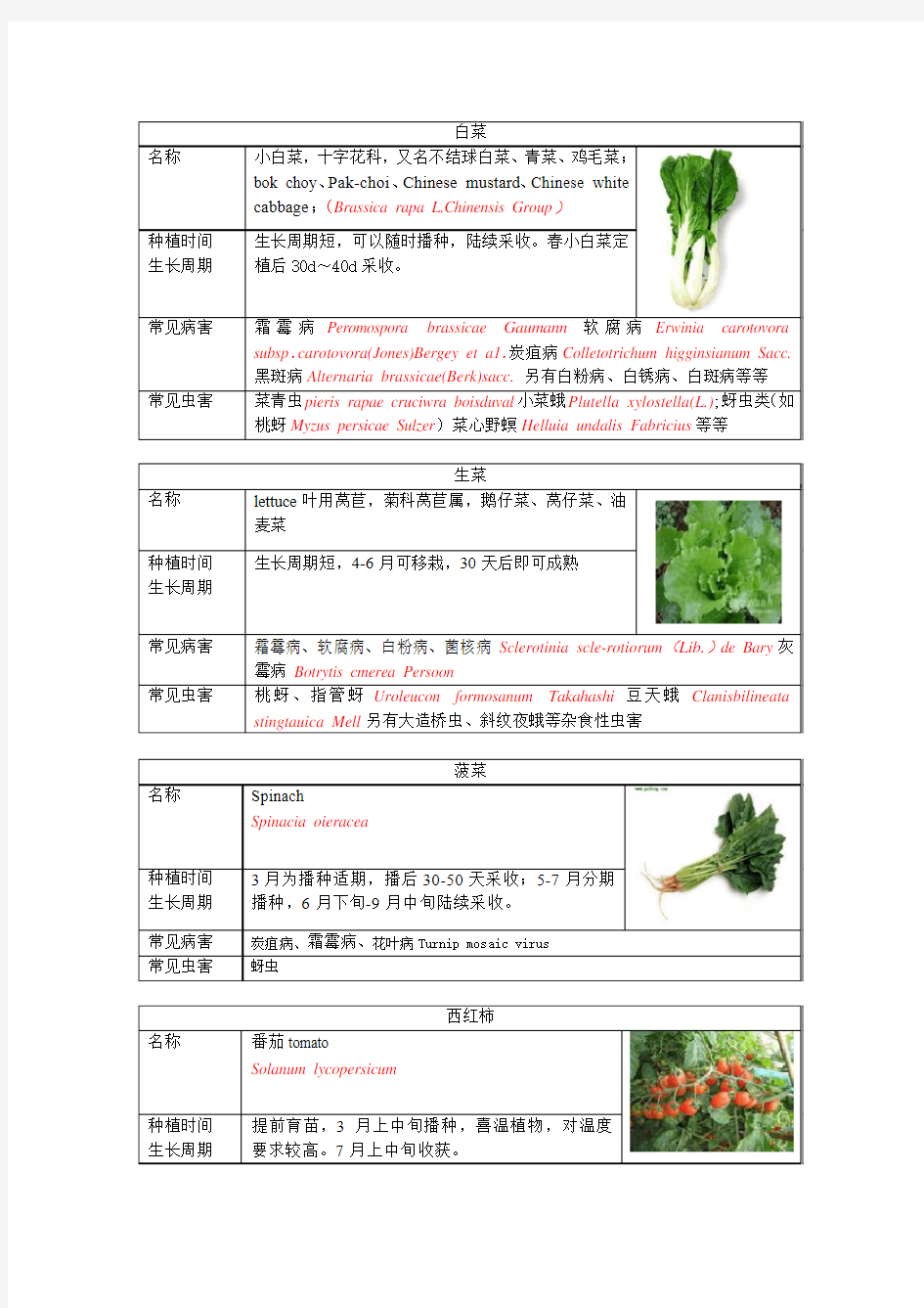 六种常见蔬菜常见虫害及种植时间整理