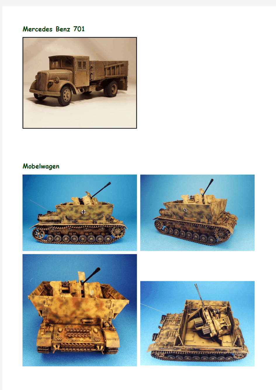 二战德国装甲车辆全集(十)