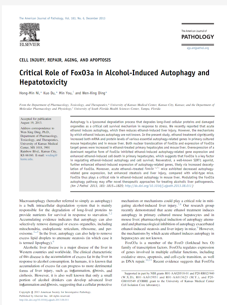 Critical Role of FoxO3a in Alcohol-Induced Autophagy and