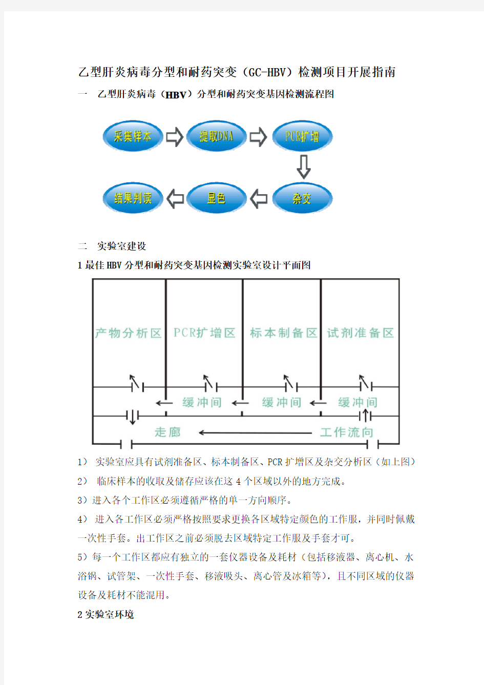 乙型肝炎病毒分型和耐药突变(GC-HBV)检测项目开展指南