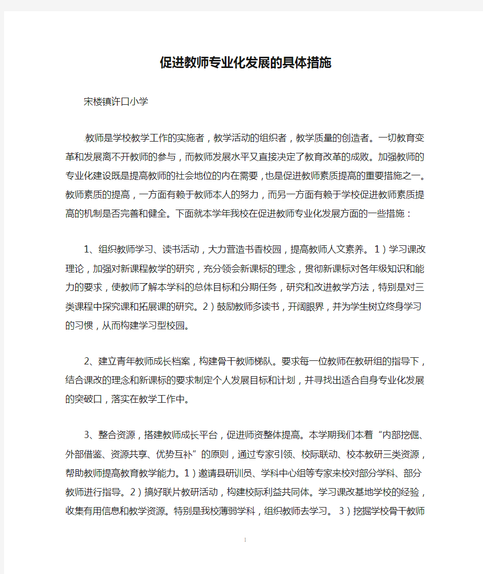 促进教师专业化发展的具体措施