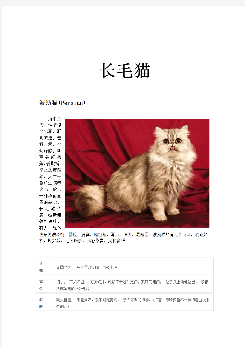 长毛猫附图片介绍