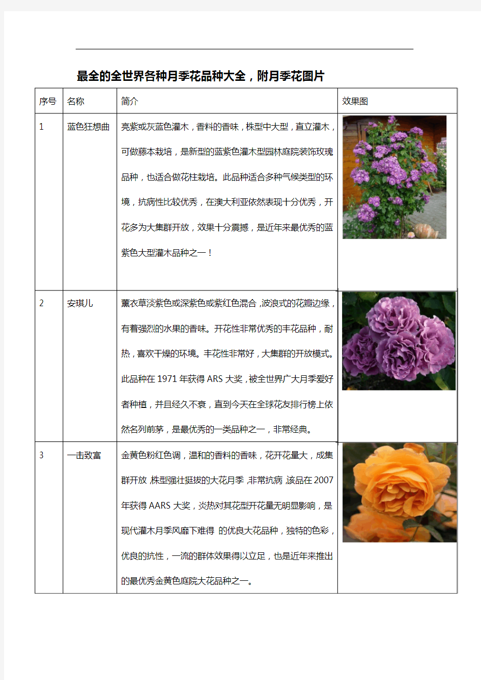 的全世界各种月季花品种大全,附月季花图片