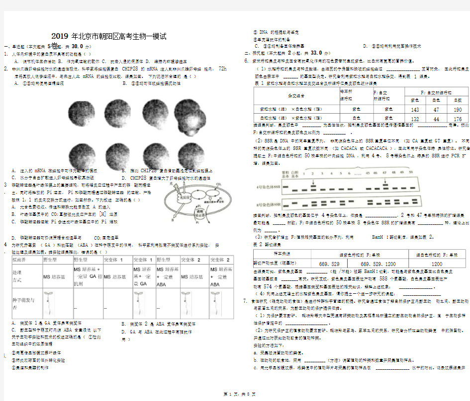 2019年北京市朝阳区高考生物一模试卷(解析版)