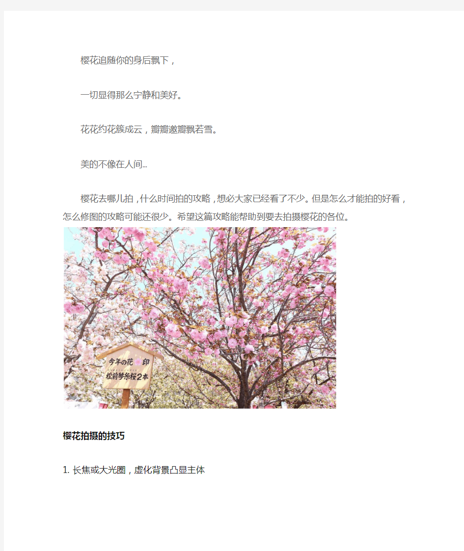 怎么拍出更美的樱花照片,日本樱花季 拍照全攻略
