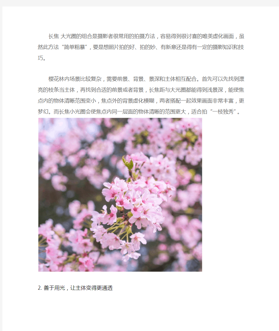 怎么拍出更美的樱花照片,日本樱花季 拍照全攻略