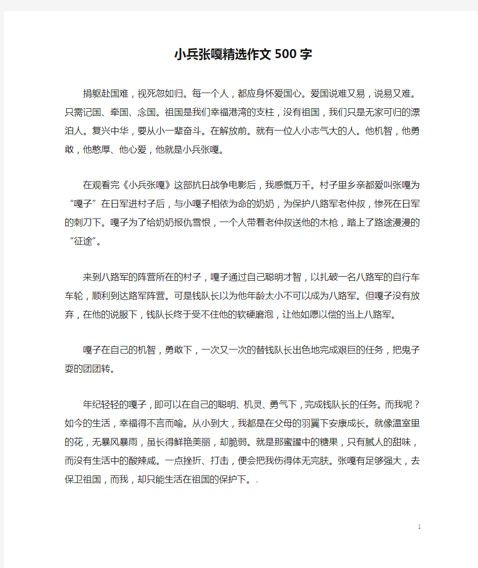 小兵张嘎精选作文500字