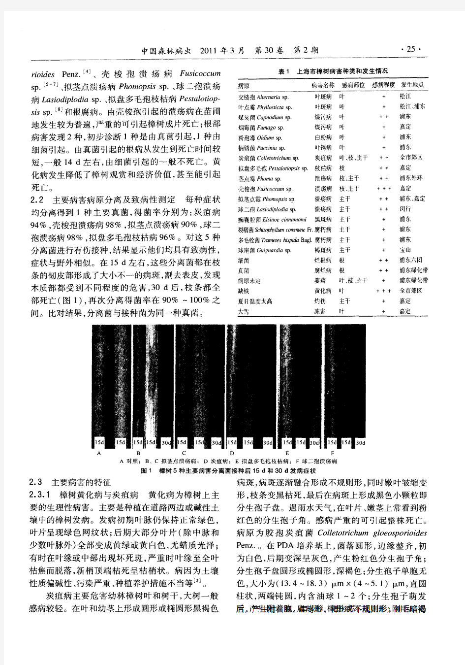 上海市樟树病害种类调查及病害特征