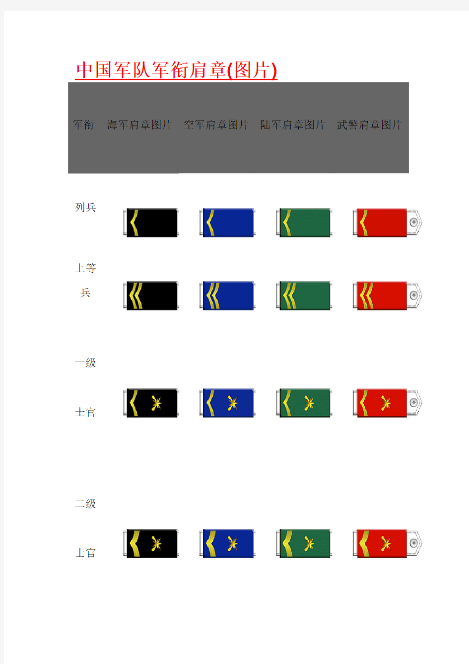 中国军队军衔肩章(图片)