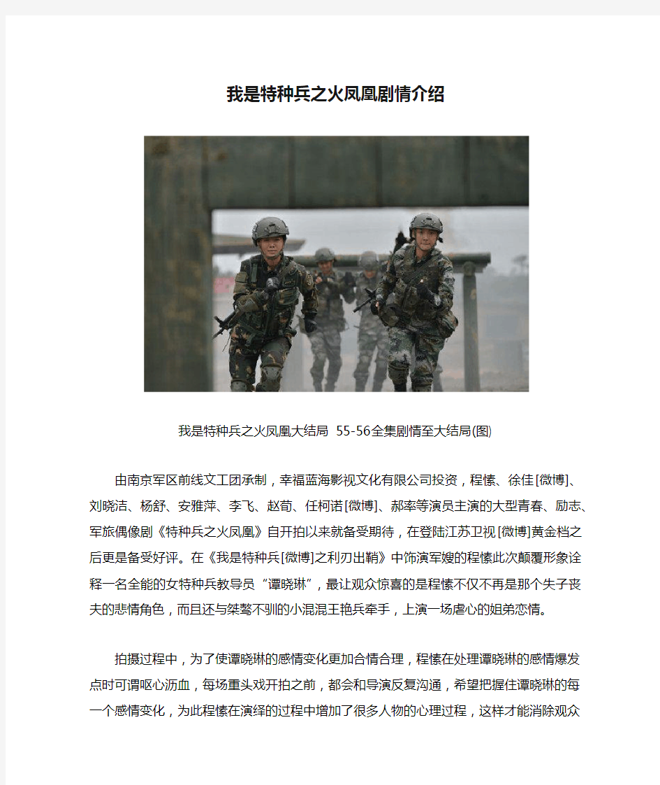 火凤凰之我是特种兵剧情 - 我是特种兵之火凤凰剧情介绍