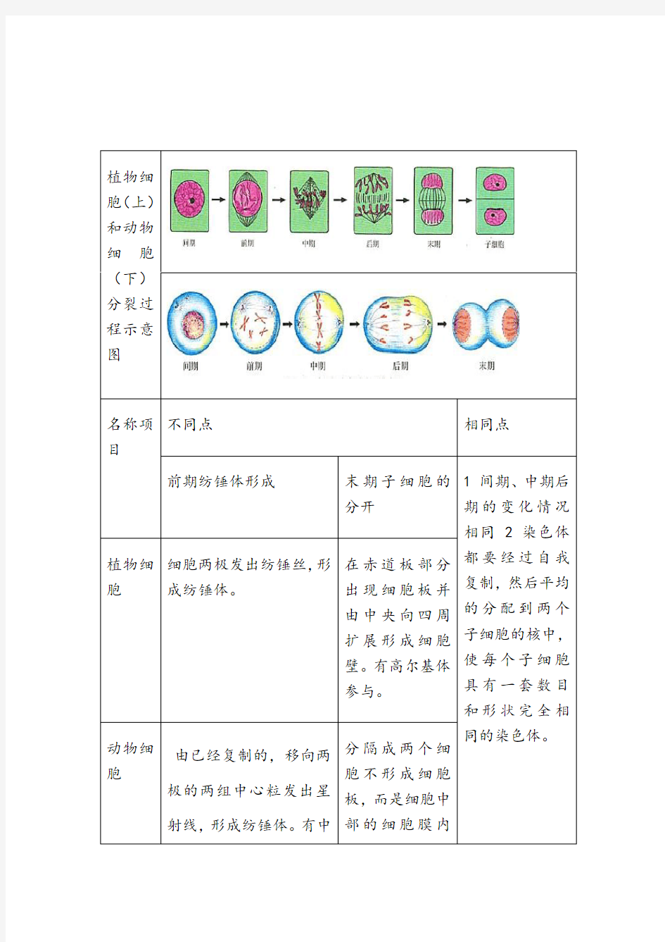 植物细胞和动物细胞分裂示意图