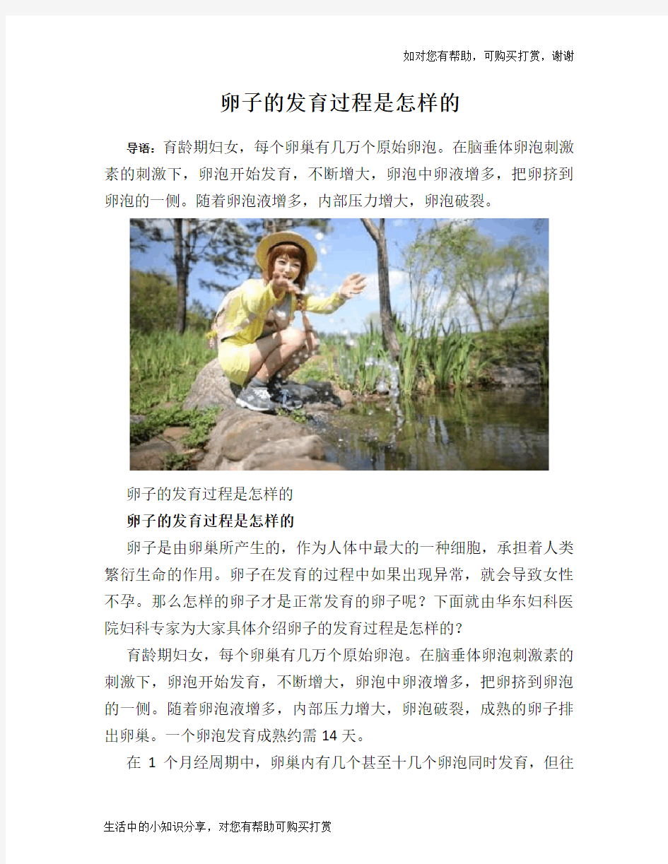 卵子的发育过程是怎样的