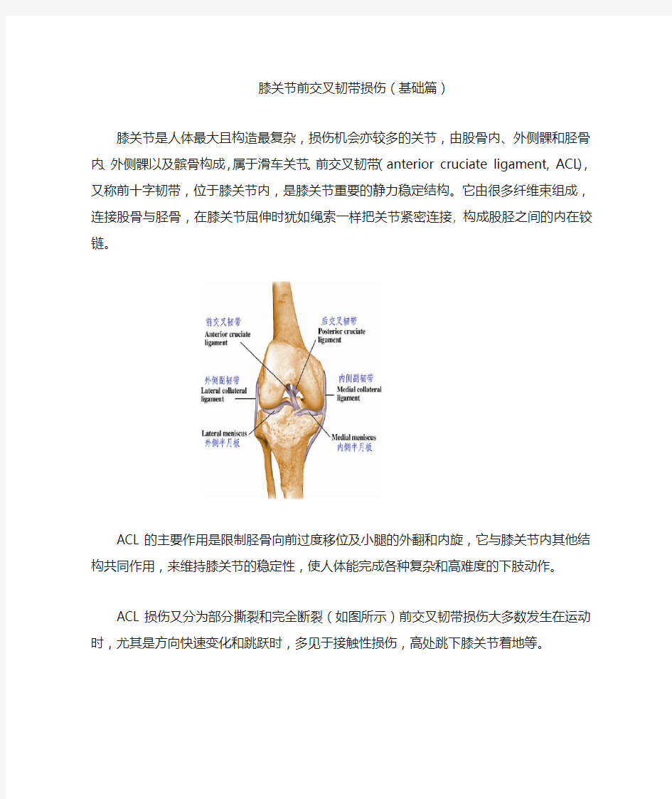 膝关节前交叉韧带损伤的康复