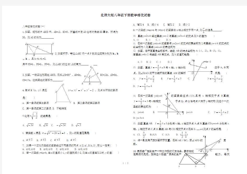 北师大版八年级下册数学培优试卷