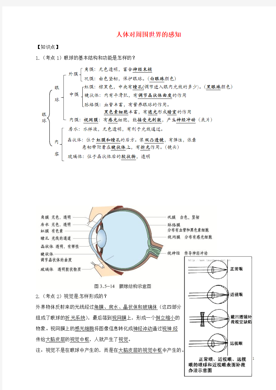 七年级生物下册第三单元第五章第四节人体对周围世界的感知知识点+巩固提高新版济南版