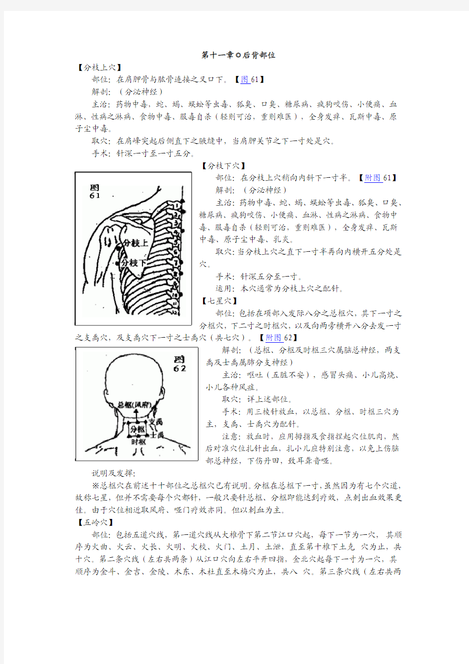 董氏奇穴——胸背部(杨维杰)