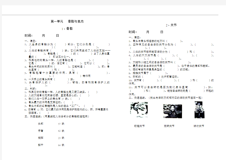 (完整版)四年级科学作业(可编辑修改word版)