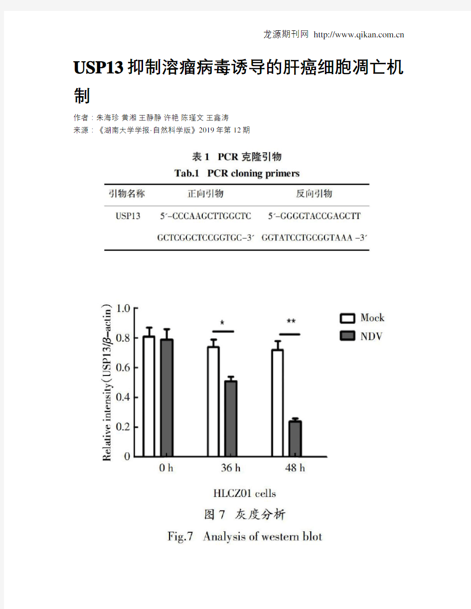 USP13抑制溶瘤病毒诱导的肝癌细胞凋亡机制