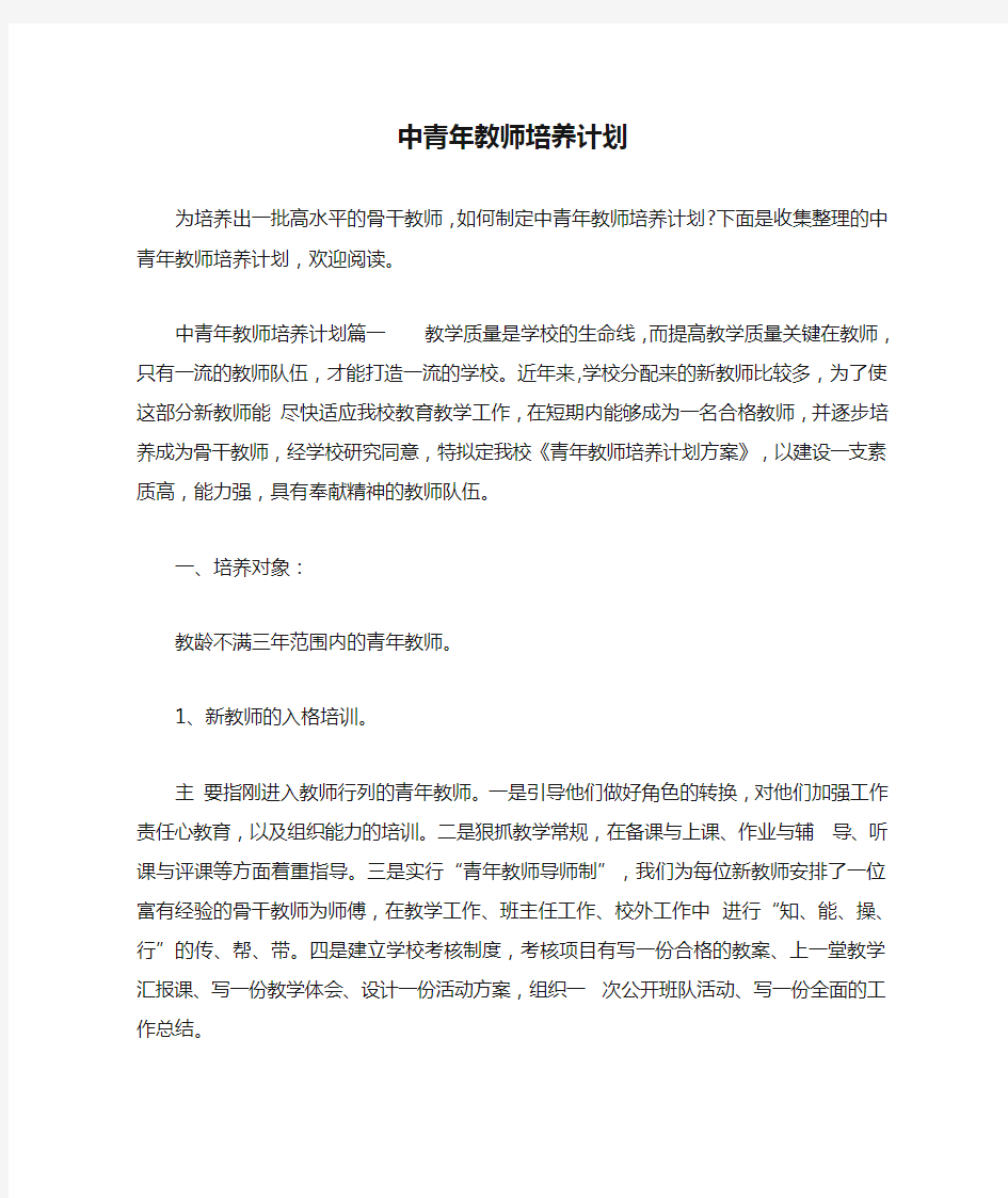 中青年教师培养计划