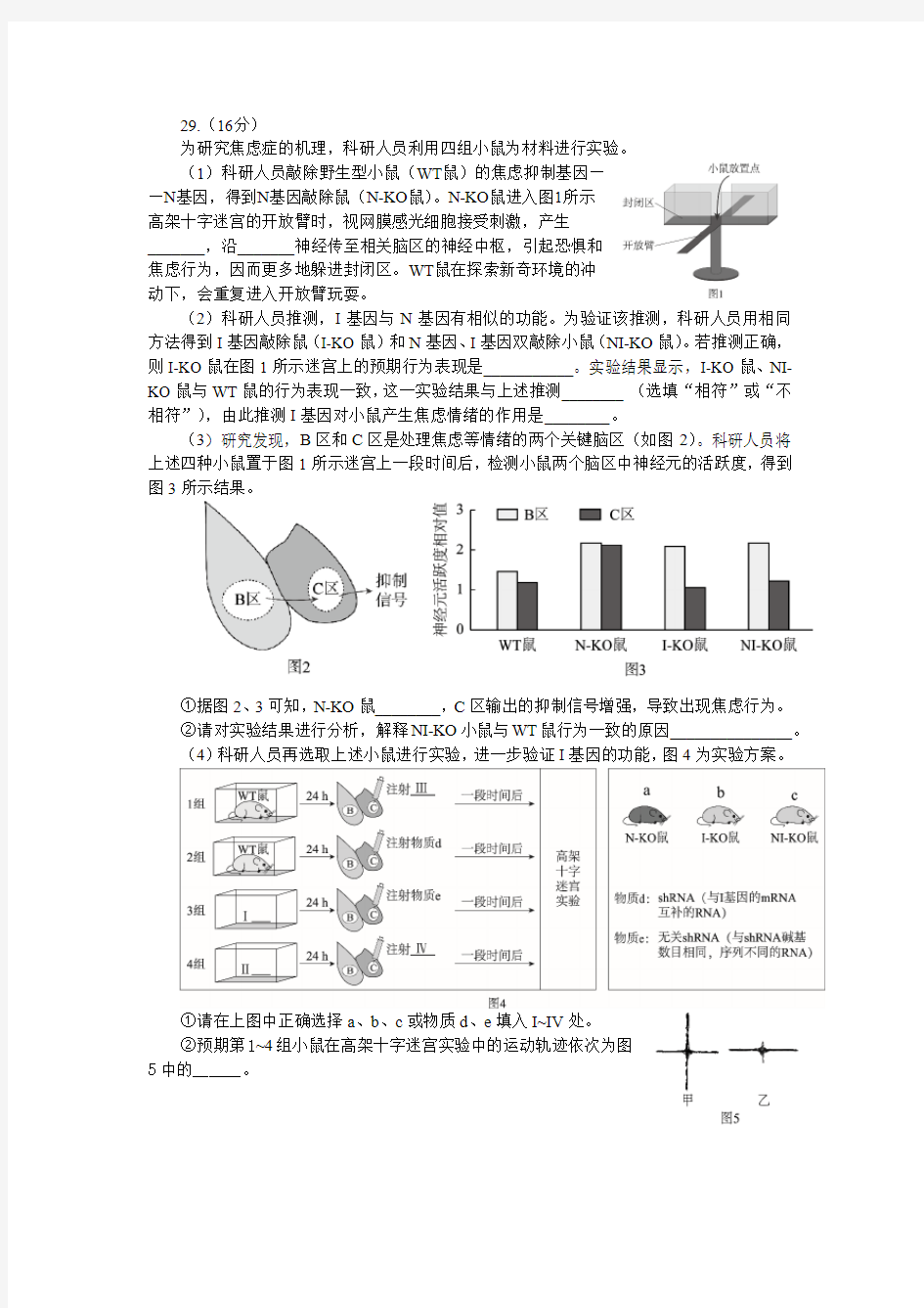 2019年北京市海淀区高三生物二模试题及答案