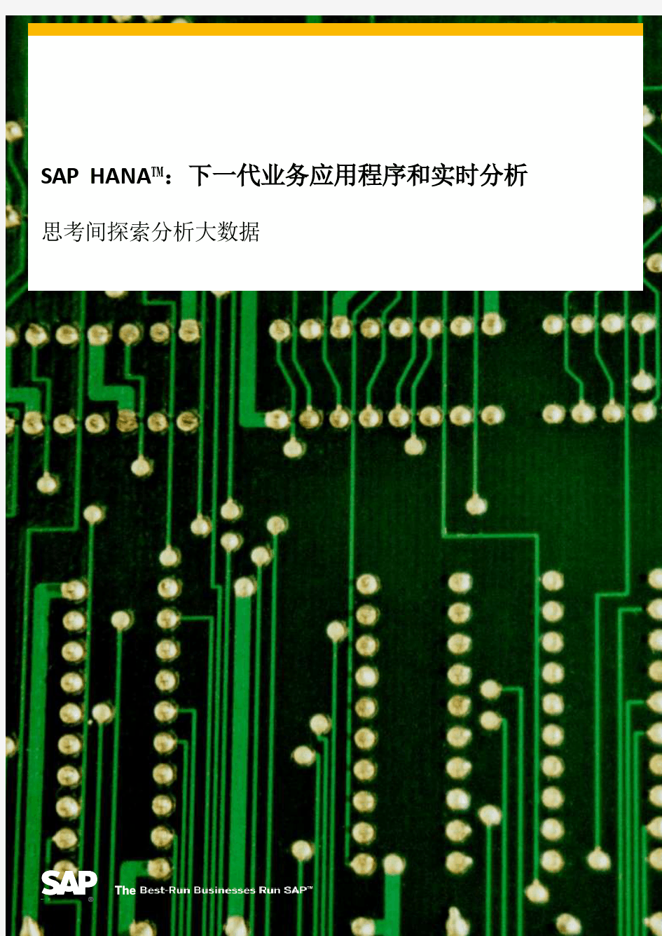 SAP+HANA白皮书