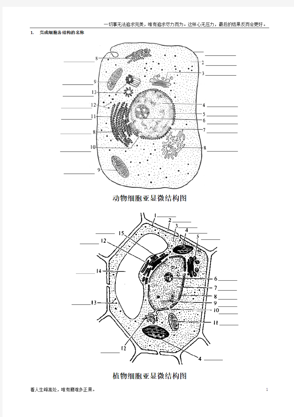 (新)高中生物动植物细胞模式图及细胞结构的比较