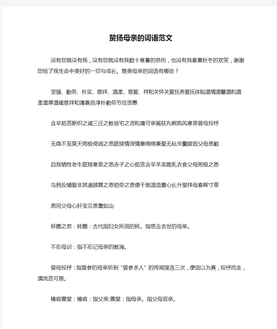 赞扬母亲的词语范文