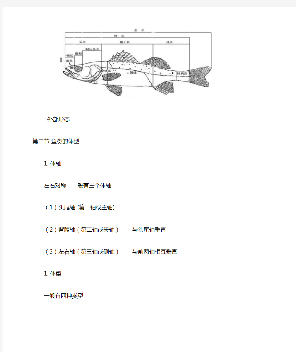 鱼类学(形态分类)