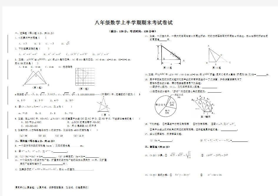 华师大八年级数学上册期末试卷