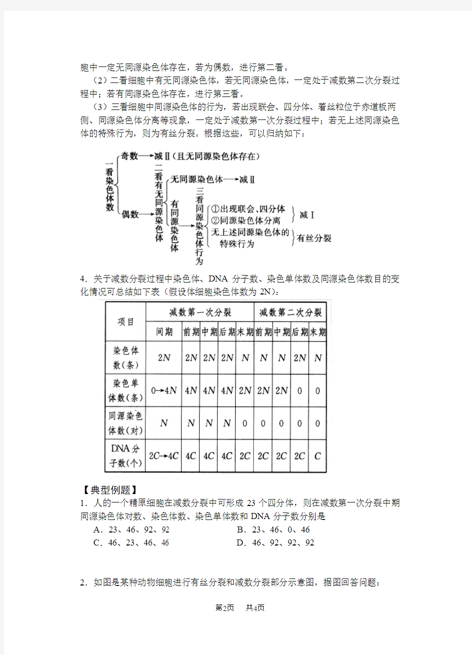 高中生物减数分裂教学案_苏教版_必修2