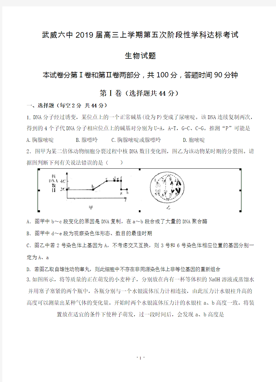 甘肃省武威六中2019届高三上学期第五次阶段性学科达标考试生物试题