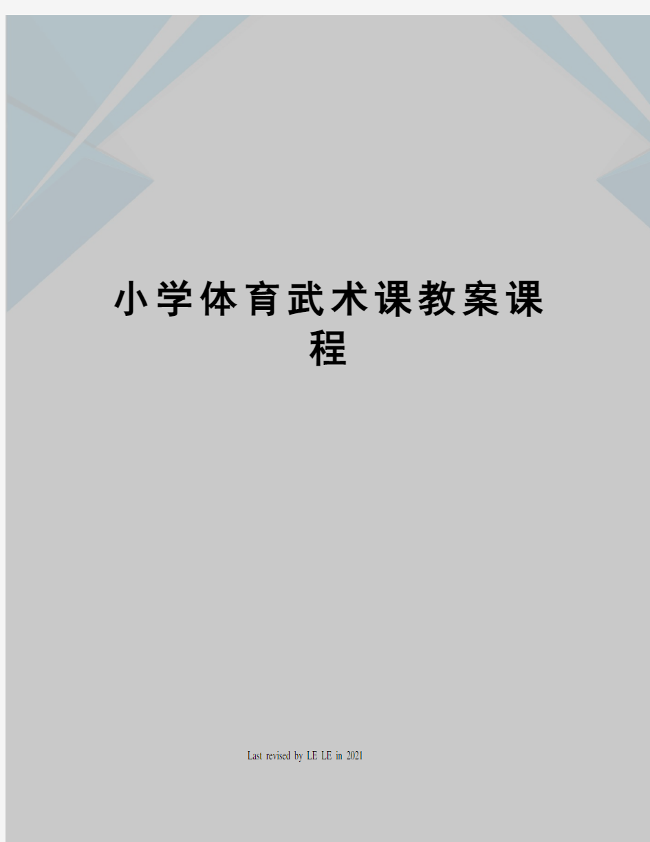 小学体育武术课教案课程