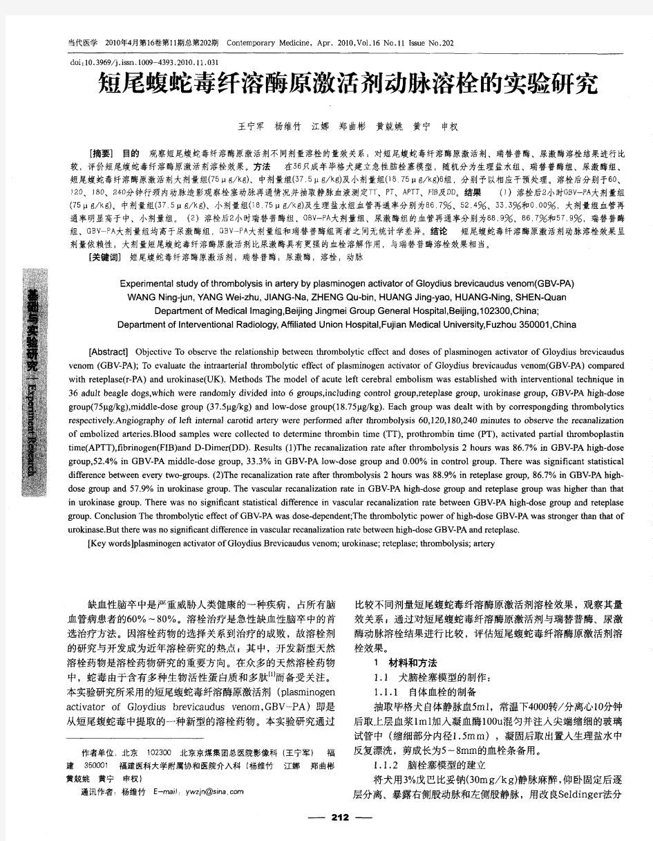 短尾蝮蛇毒纤溶酶原激活剂动脉溶栓的实验研究