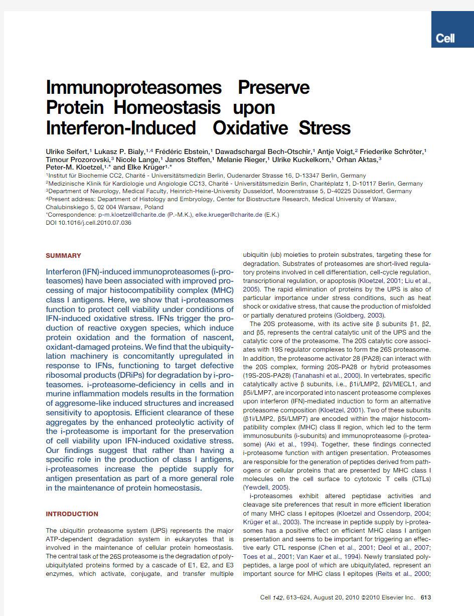 Immunoproteasomes Preserve Protein Homeostasis upon Interferon-Induced Oxidative Stress