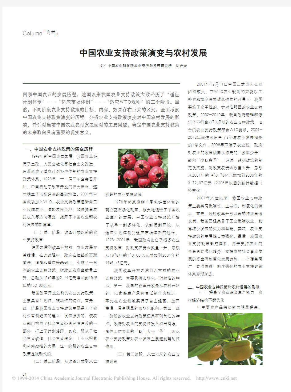 中国农业支持政策演变与农村发展_刘合光