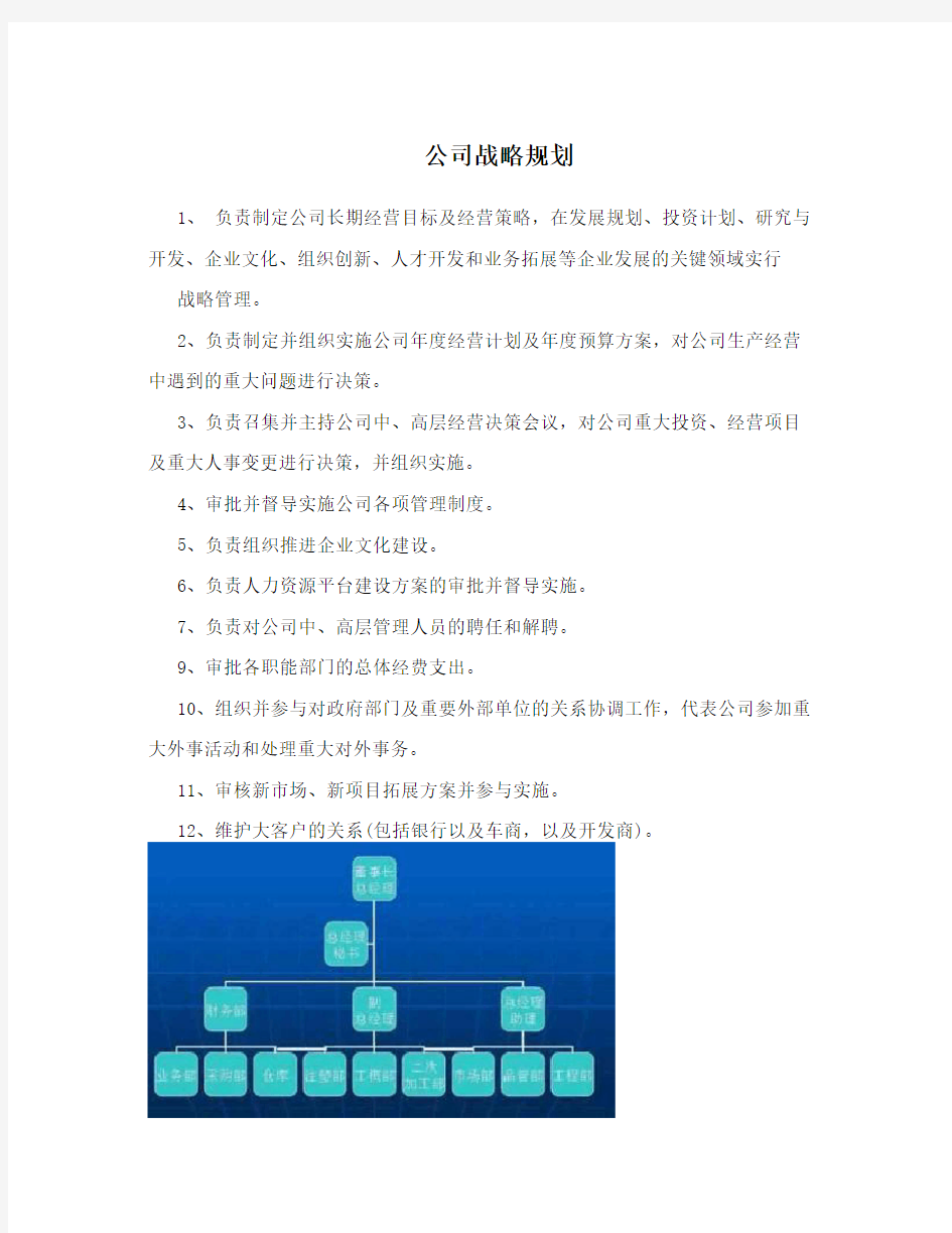 公司战略规划