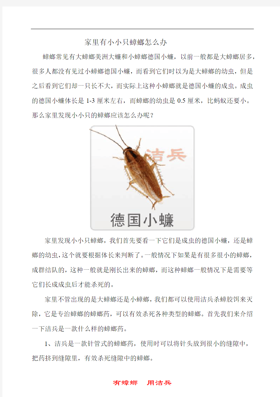 家里有小小只蟑螂怎么办