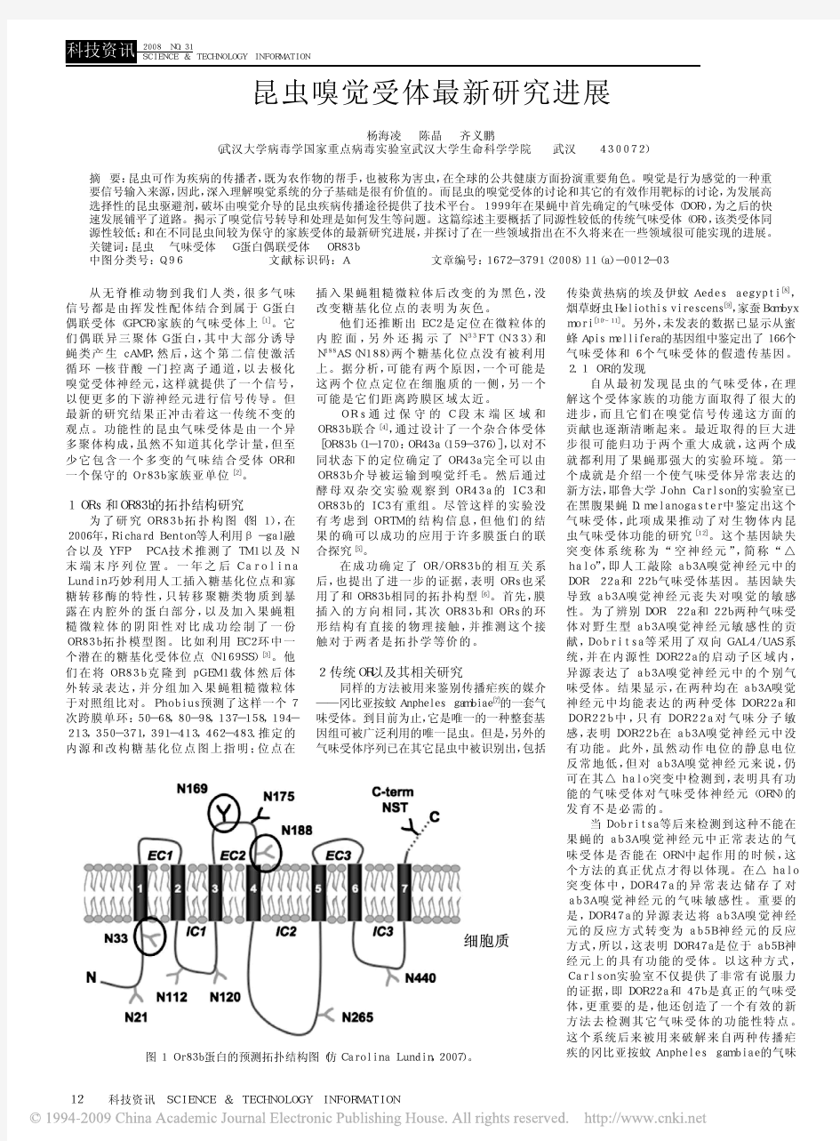 昆虫嗅觉受体最新研究进展