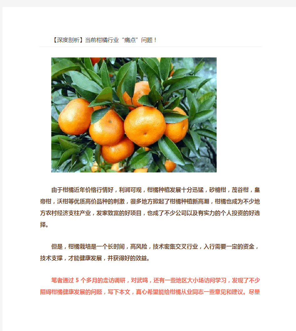  【深度剖析】当前柑橘行业“痛点”问题!