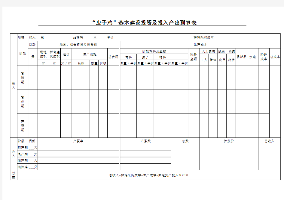 投入产出预算表