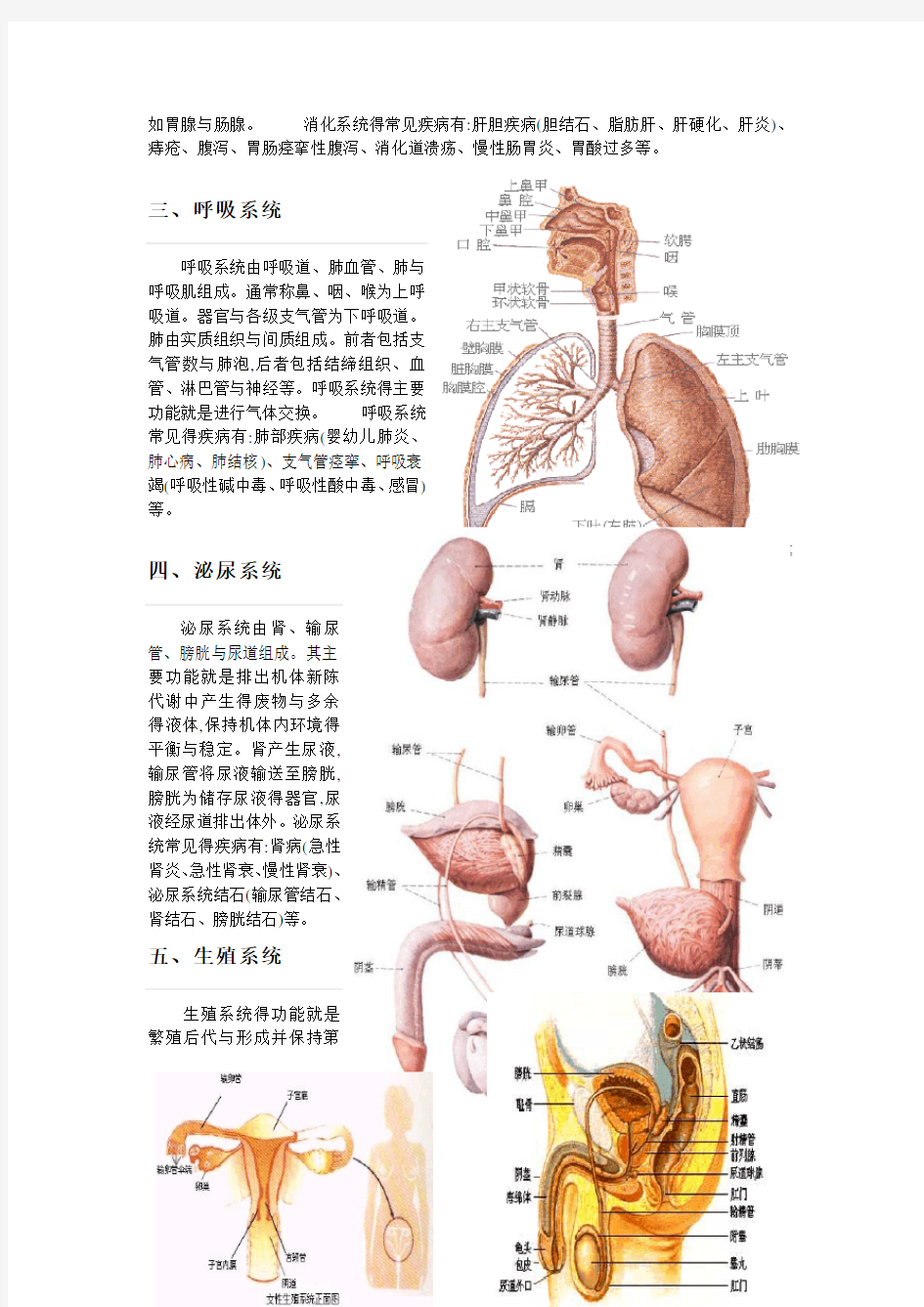 人体九大系统