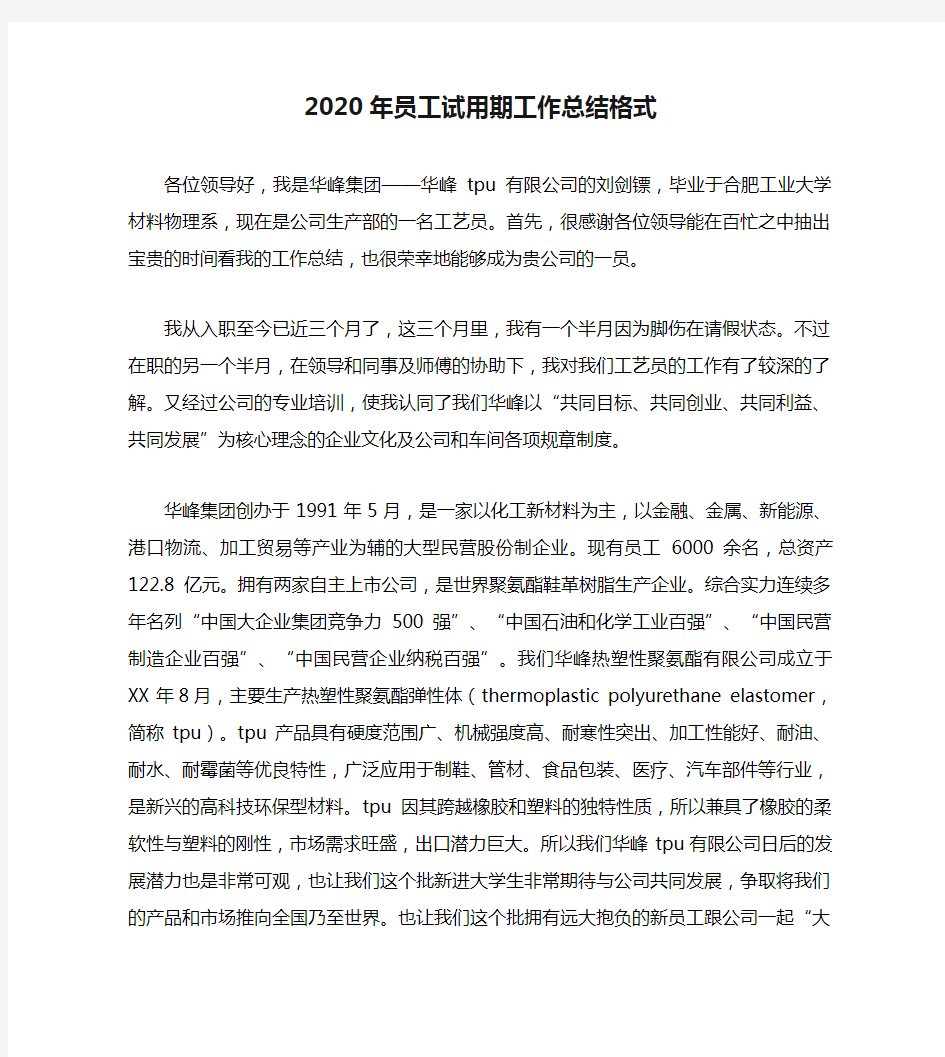 2020年员工试用期工作总结格式