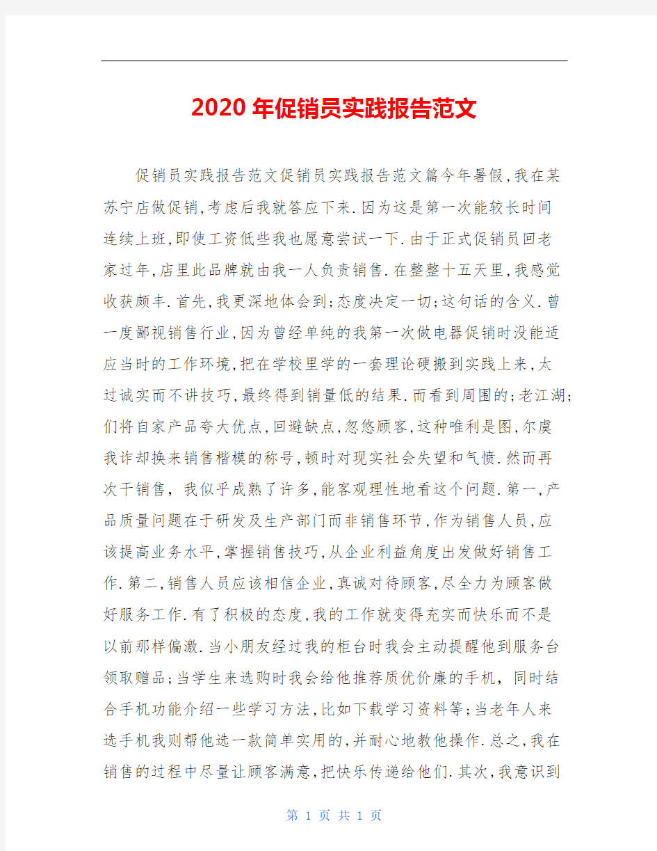 2020年促销员实践报告范文